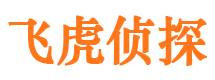 高阳市调查公司